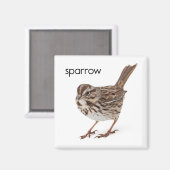 Song Sparrow Magnet (Vorderseite/Rückseite)