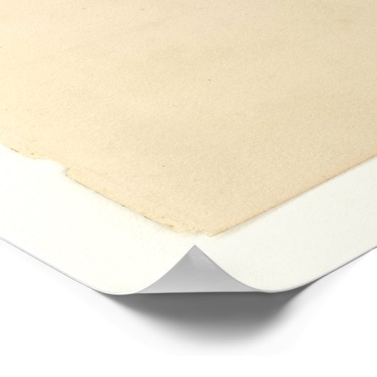 Song Sparrow Poster (Ecke)