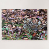 Song Sparrow Puzzle (Horizontal)