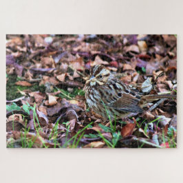 Song Sparrow Puzzle