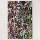 Song Sparrow Puzzle (Vertikal)