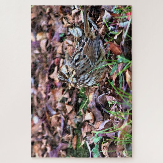 Song Sparrow Puzzle (Vertikal)