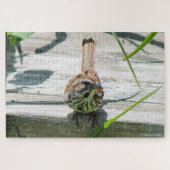 Song Sparrow Puzzle (Horizontal)