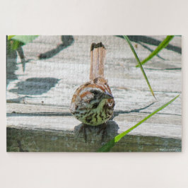 Song Sparrow Puzzle