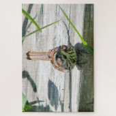 Song Sparrow Puzzle (Vertikal)