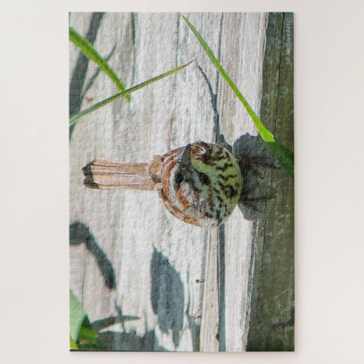 Song Sparrow Puzzle (Vertikal)