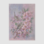 Song Sparrow Seidenpapier (Vorderseite)