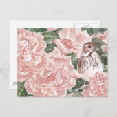 Song Sparrow und Roses Blume Malerei Postkarte (Vorne/Hinten)