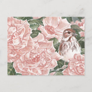 Song Sparrow und Roses Blume Malerei Postkarte