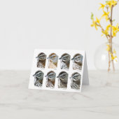 Song Sparrows Karte (Gelbe Blume)