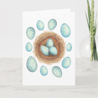 Song Thrush Eggs Grußkarte Karte