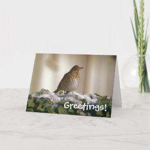 Song Thrush Greetings Card Feiertagskarte