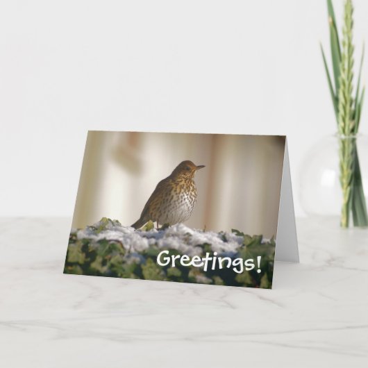 Song Thrush Greetings Card Feiertagskarte (Vorderseite)