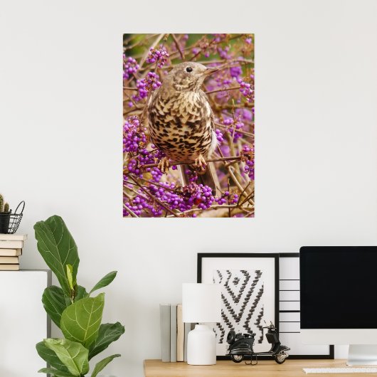 Song Thrush Poster (Heimbüro)