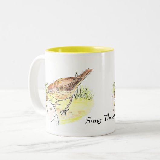 Song Thrush Tasse (Vorderseite Links)