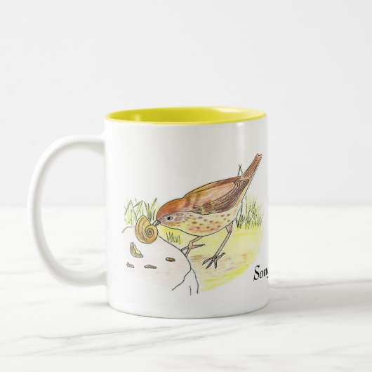 Song Thrush Tasse (Links)