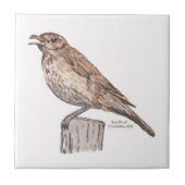 Song Thrush Tile Fliese (Vorderseite)
