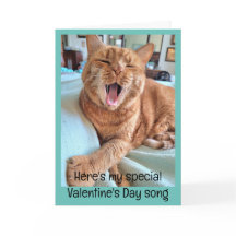Song von Ginger Cat für Special Valentine