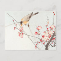 Songbird auf Blütenzweig - Ohara Koson - Art