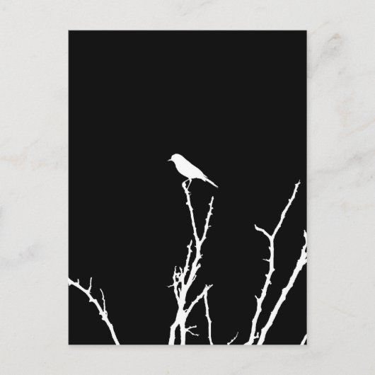 Songbird Night Postkarte (Vorderseite)