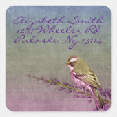 Songbird Quadratischer Aufkleber (Vorderseite)