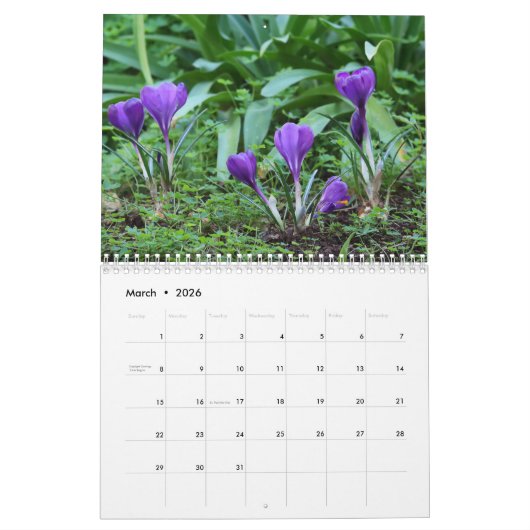 Songbirds & Butterflies 2022 Calendar Kalender (Mär 2026)