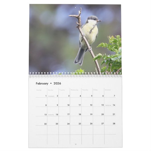 Songbirds & Butterflies 2022 Calendar Kalender (Feb 2026)