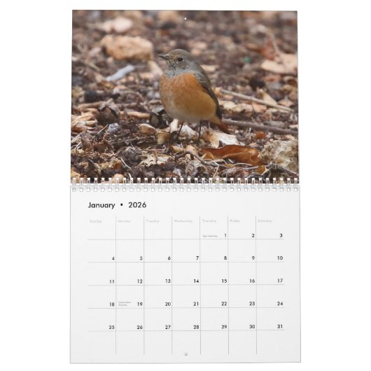 Songbirds & Butterflies 2022 Calendar Kalender (Jan 2026)