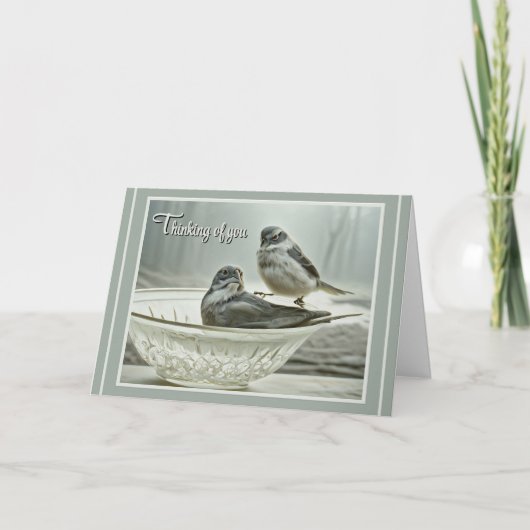 Songbirds - Thinking of You - Praying for You Card Karte (Vorderseite)