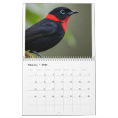 Songs in Flight: 2026 Bird Photography Calendar Kalender (Feb 2026)