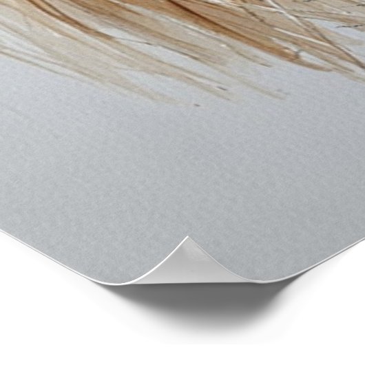 Songs of the Forest Poster (Ecke)