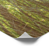 Songs of the Forest Poster (Ecke)