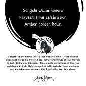 SONGSHI QUAN Chow Shirts