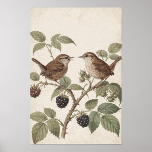 Songvögel Cottagecore Kunstprint Poster