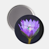 Sonia WIld Magnet (Vorderseite/Rückseite)