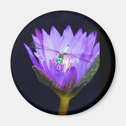 Sonia WIld Magnet (Vorne)