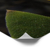 Sonne auf einer gelben Seite Poster (Ecke)