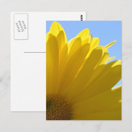 Sonne auf Petals Postkarte (Vorne/Hinten)