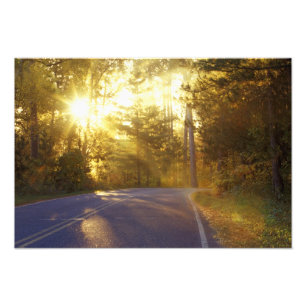Sonne bricht durch den Wald auf die Straße bei Fotodruck