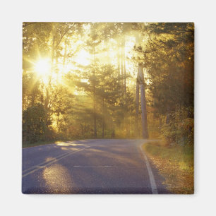 Sonne bricht durch den Wald auf die Straße bei Magnet