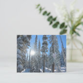 Sonne durch Bäume im Winter Postkarte (Stehend Vorderseite)