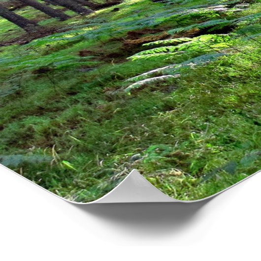 Sonne durch den Wald Poster (Ecke)