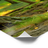 Sonne durch die Bäume Poster (Ecke)