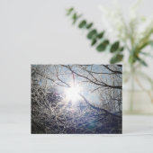 Sonne durch die Zweige Postkarte (Stehend Vorderseite)