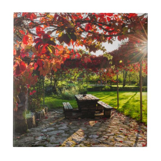 Sonne durch Herbstblätter, Kroatien Fliese (Vorderseite)