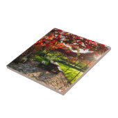 Sonne durch Herbstblätter, Kroatien Fliese (Seite)