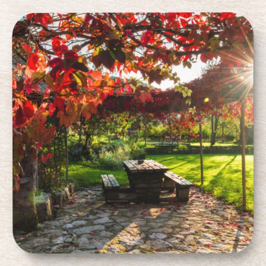 Sonne durch Herbstblätter, Kroatien Getränkeuntersetzer (Vorderseite)