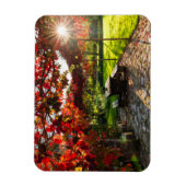 Sonne durch Herbstblätter, Kroatien Magnet (Vertikal)