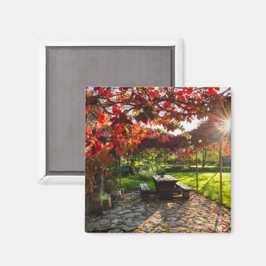 Sonne durch Herbstblätter, Kroatien Magnet (Vorderseite/Rückseite)