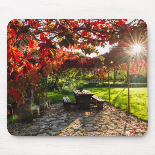 Sonne durch Herbstblätter, Kroatien Mousepad (Vorne)